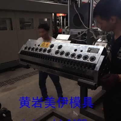 片材PP擠出成型模具 精密片材擠出模具，臺州黃巖PMMA片材模具，
